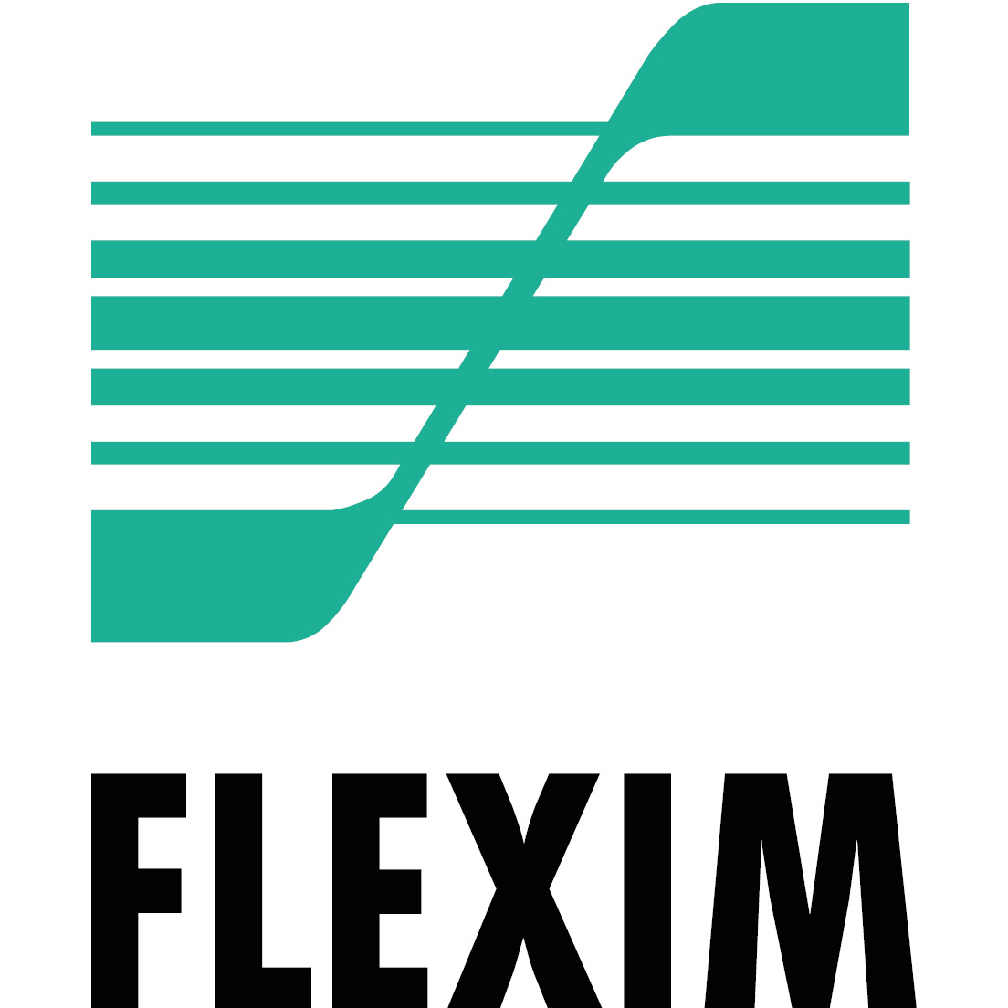 Flexim GMBH